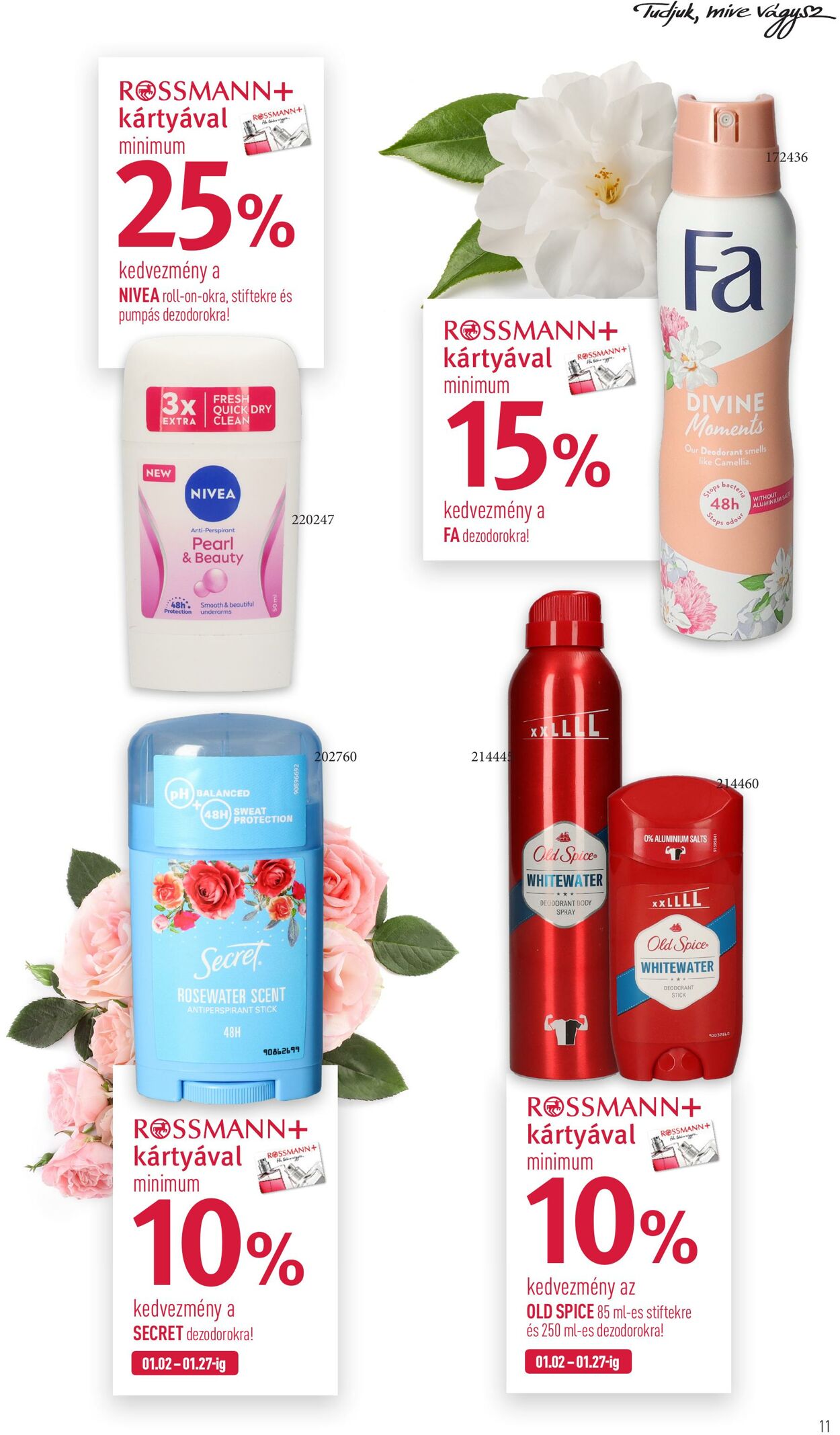 Flyer Rossmann 02.01.2023 - 13.01.2023