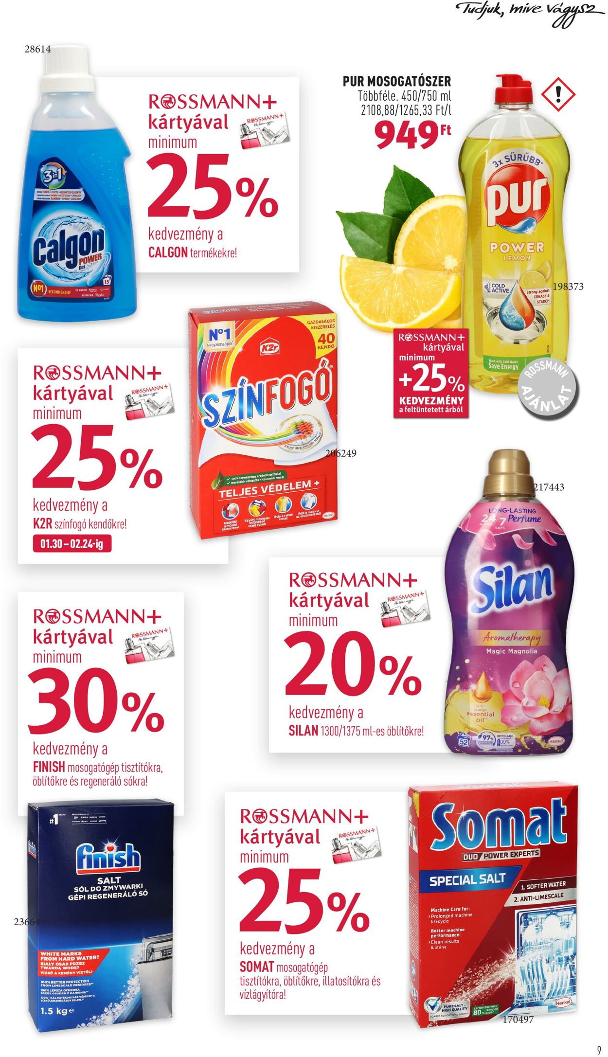 Flyer Rossmann 30.01.2023 - 10.02.2023