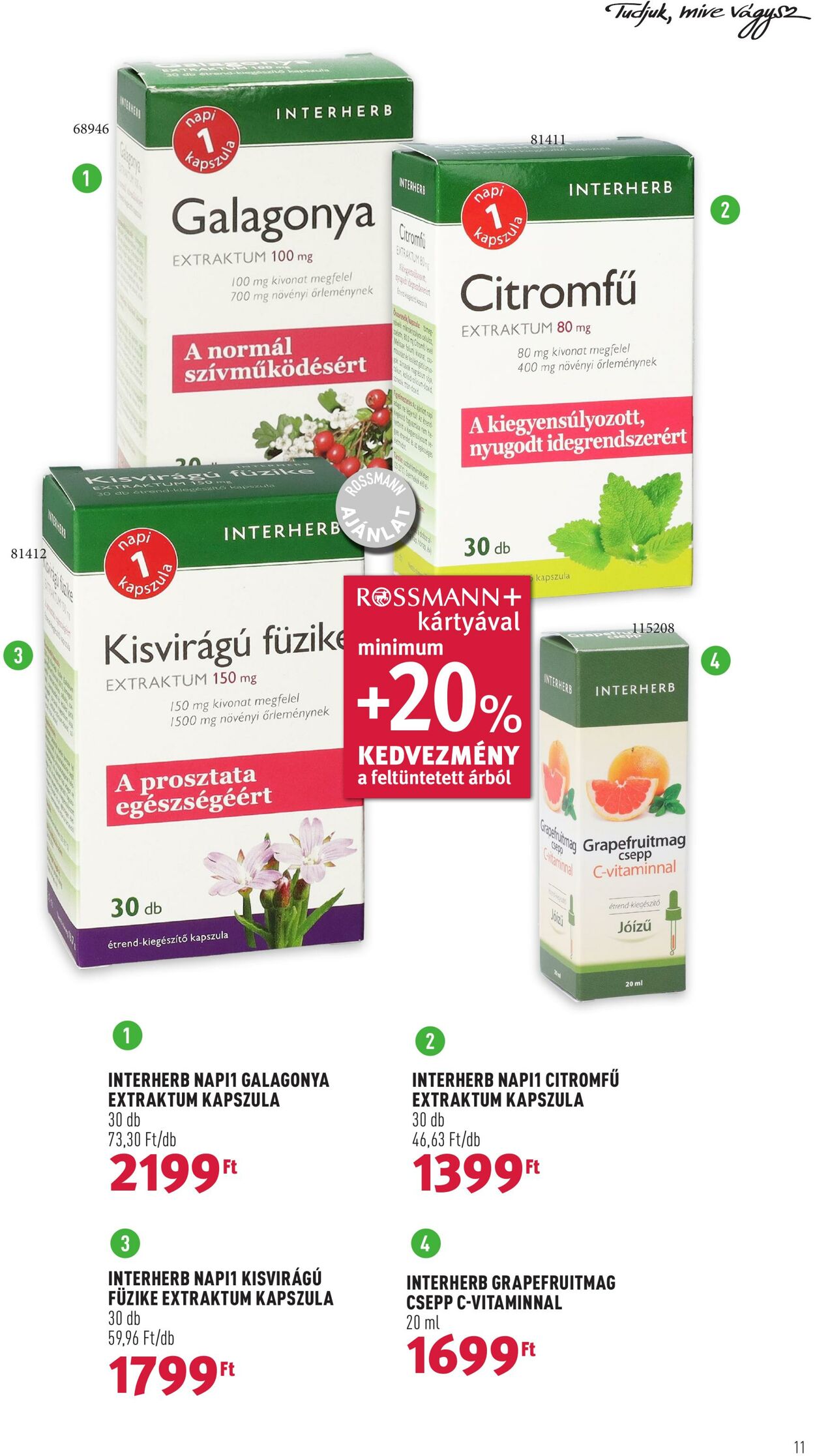 Flyer Rossmann 13.02.2023 - 24.02.2023