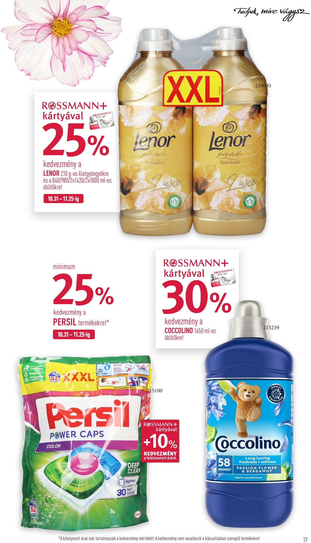 Flyer Rossmann 14.11.2022 - 25.11.2022