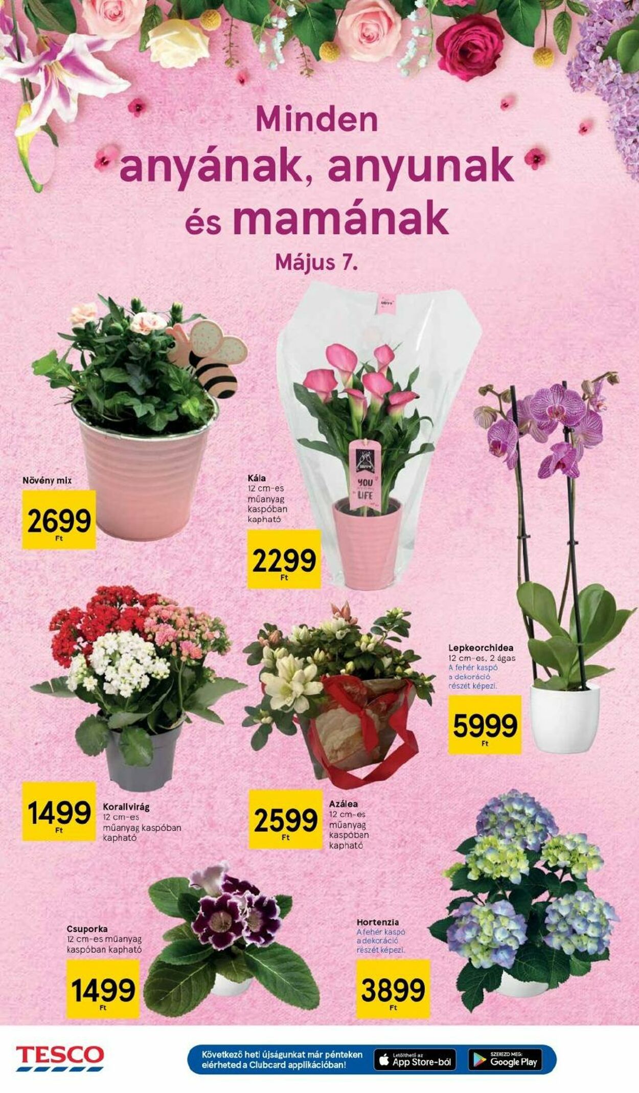 Flyer Tesco 27.04.2023 - 03.05.2023