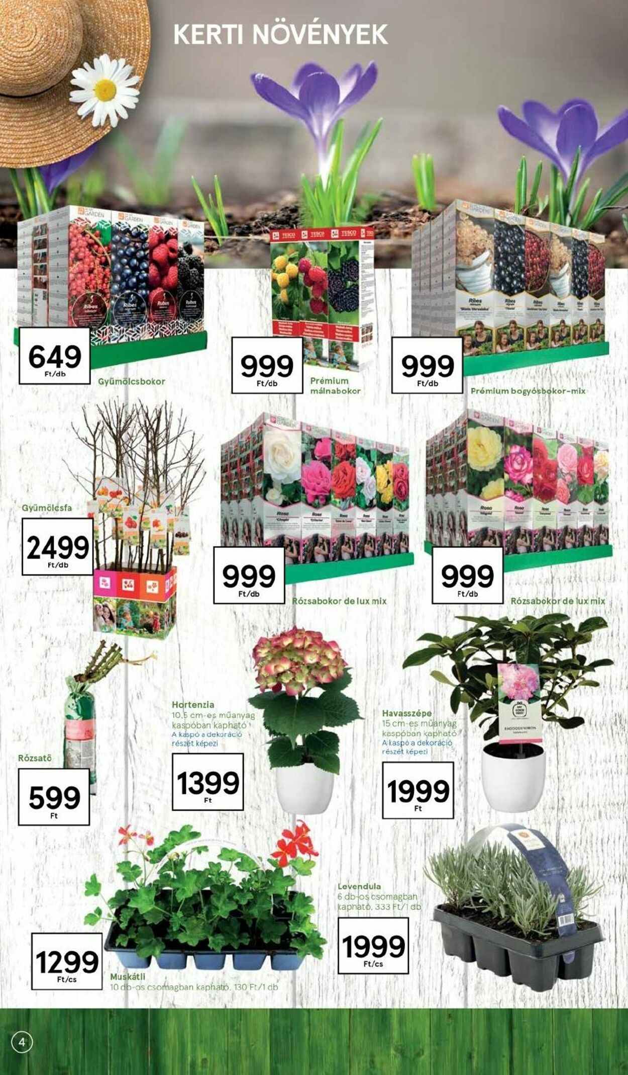 Flyer Tesco 01.03.2022 - 23.03.2022