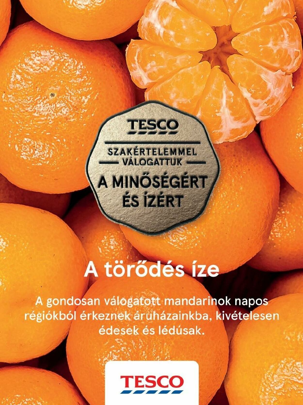 Flyer Tesco 10.11.2022 - 04.01.2023